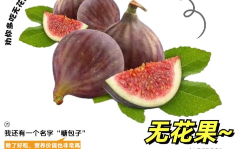 柿饼功效与作用及禁忌-柿饼功效与作用及禁忌网 - 为你提供柿饼有什么营养和功效、柿饼功效与作用及禁忌