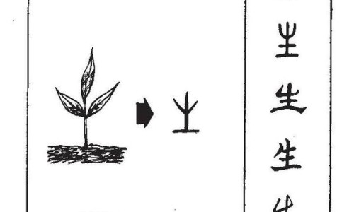 柿饼的功效与作用及营养价值-柿饼功效与作用及禁忌网 - 为你提供柿饼有什么营养和功效、柿饼功效与作用及禁忌